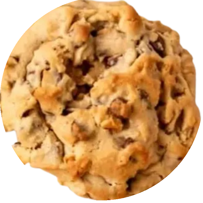 Gourmet Chunky Chocolate Chip Cookie